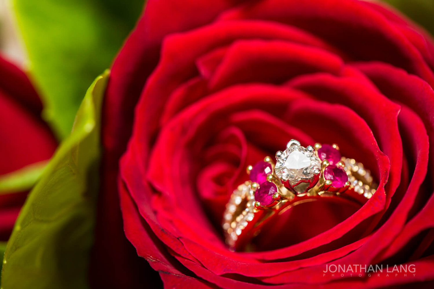 JonathanLangPhotography_19_20_10_LANG7126